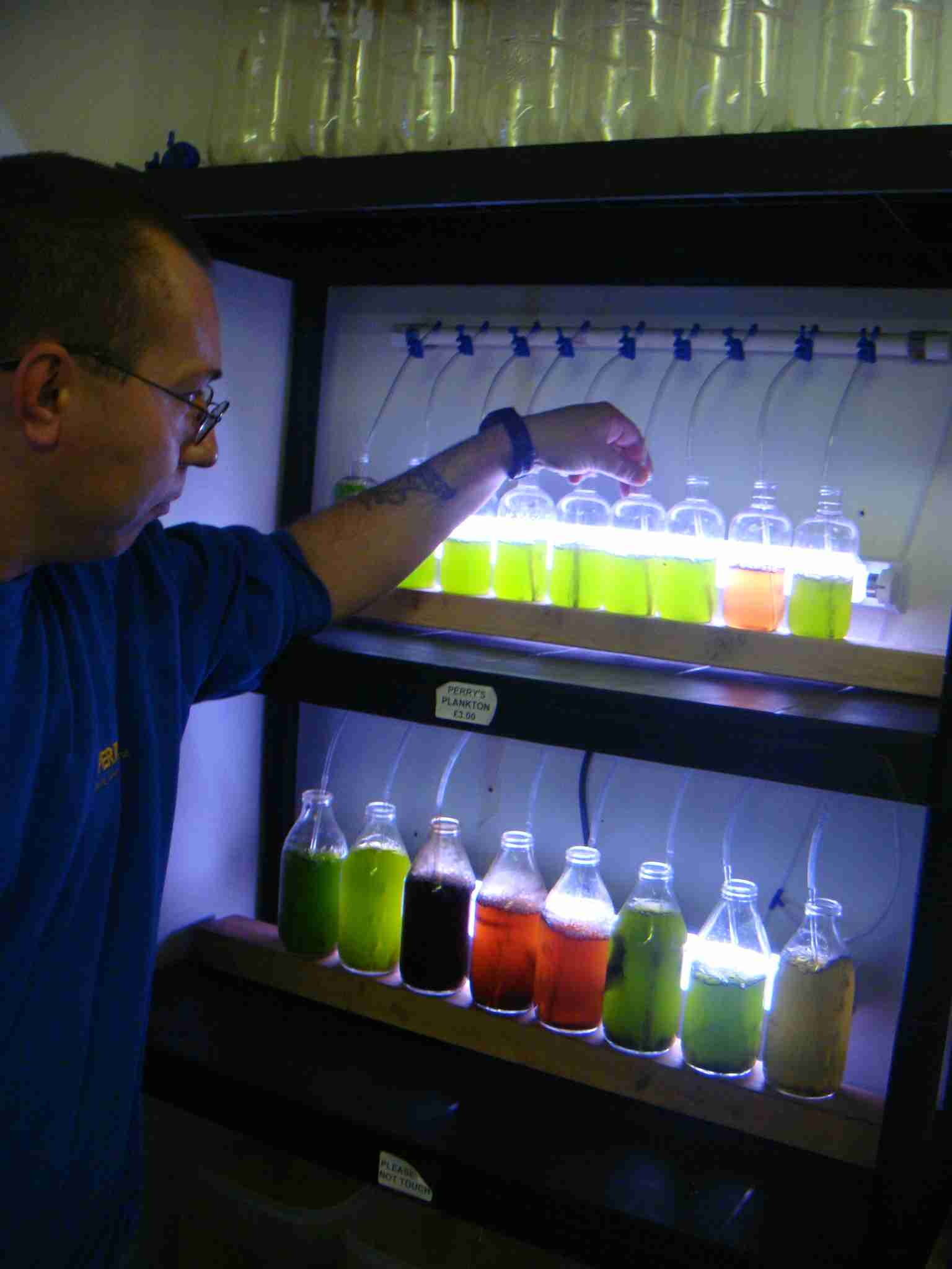 Perry culturing plankton